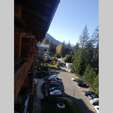Large Vacation Apartment In פויאנה ברשוב מראה חיצוני תמונה