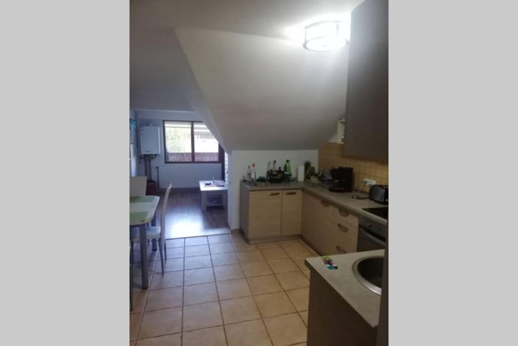 Large Vacation Apartment In פויאנה ברשוב מראה חיצוני תמונה