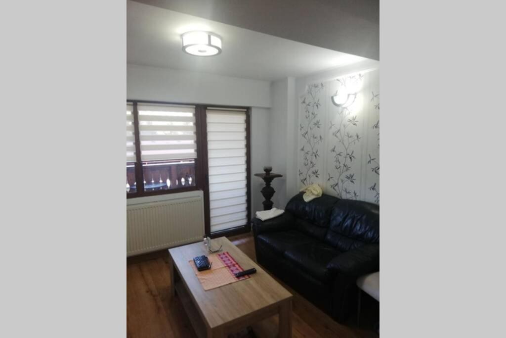 Large Vacation Apartment In פויאנה ברשוב מראה חיצוני תמונה